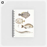 1-50_Indian-Zoology_memo