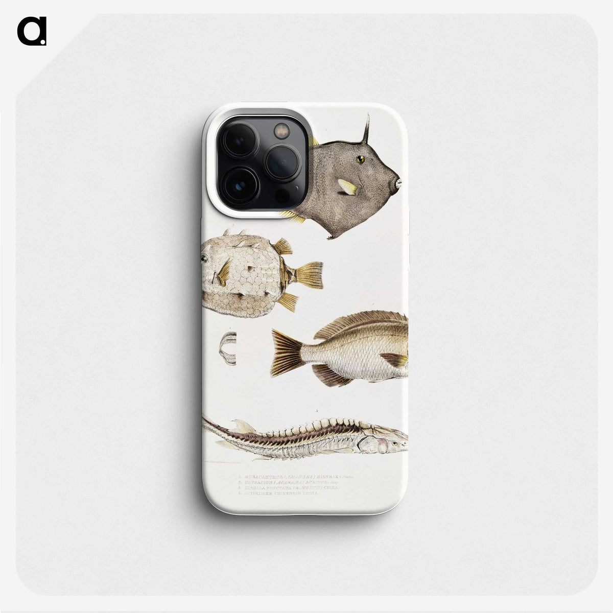 1-50_Indian-Zoology_phone
