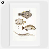 1-50_Indian-Zoology_picture