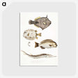 1-50_Indian-Zoology_postcard