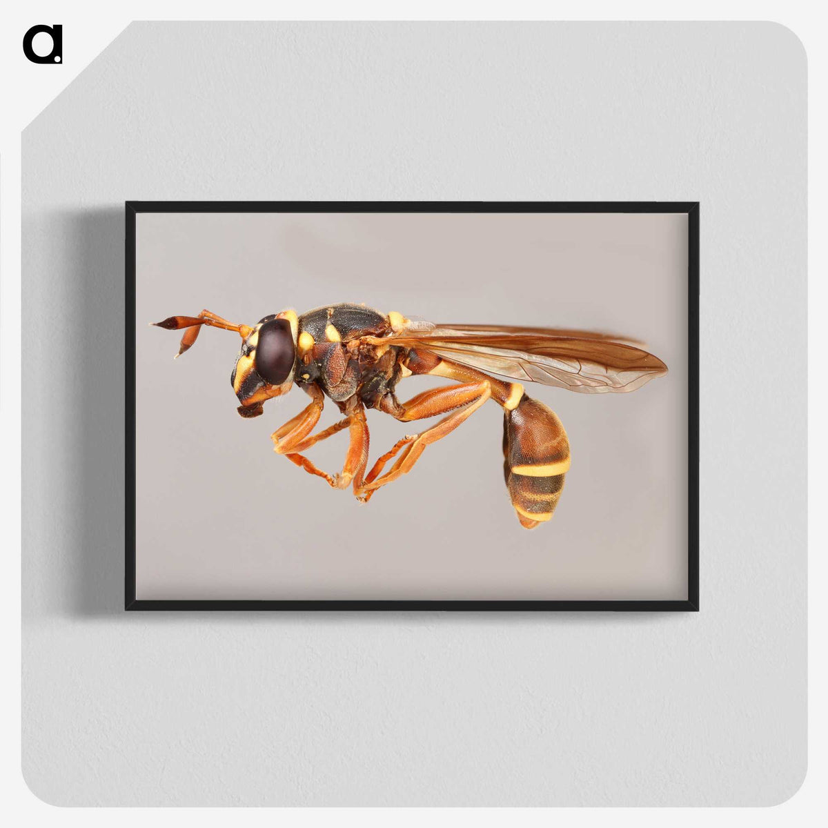 1-50_Insects-Unlocked-Project_blk-crop