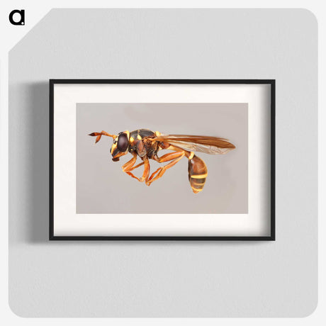 1-50_Insects-Unlocked-Project_blk