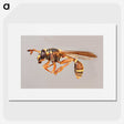 1-50_Insects-Unlocked-Project_picture