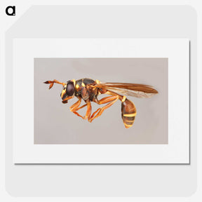 1-50_Insects-Unlocked-Project_picture