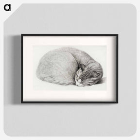 アートポスター-Rolled up lying, sleeping cat - ジャン ベルナール Poster.