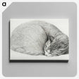 1-50_Jean-Bernard_canvas