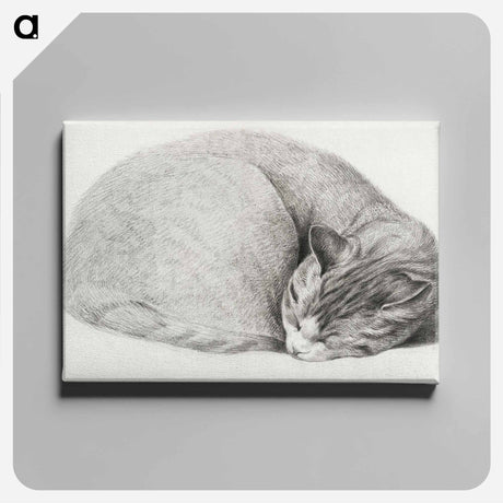 アートパネル-Rolled up lying, sleeping cat - ジャン ベルナール Canvas.