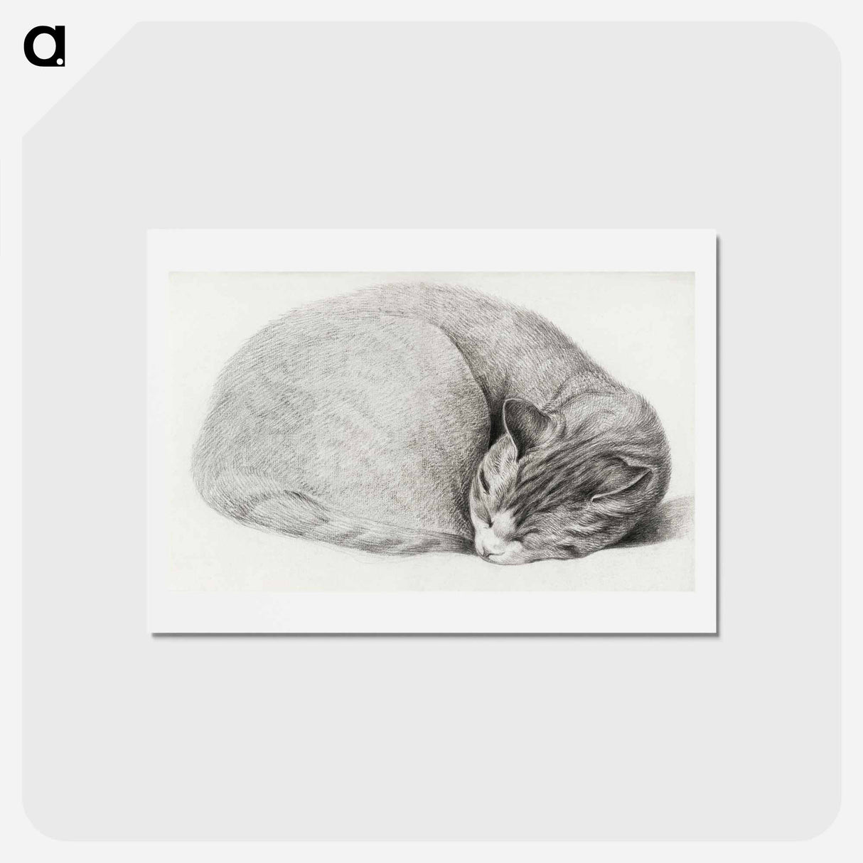 アートポストカード-Rolled up lying, sleeping cat - ジャン ベルナール Postcard.