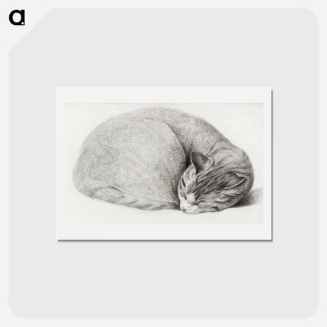 アートポストカード-Rolled up lying, sleeping cat - ジャン ベルナール Postcard.