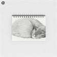 1-50_Jean-Bernard_memo