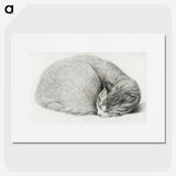1-50_Jean-Bernard_picture