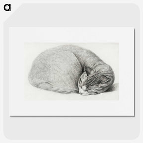 1-50_Jean-Bernard_picture