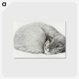 1-50_Jean-Bernard_postcard