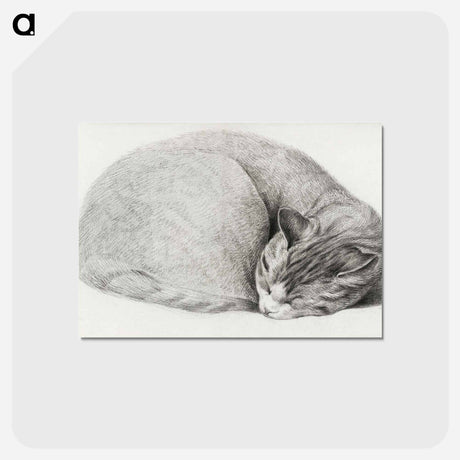 アートポストカード-Rolled up lying, sleeping cat - ジャン ベルナール Postcard.