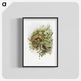 1-50_John-Gould_blk-crop