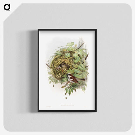 1-50_John-Gould_blk-crop