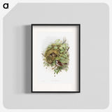 1-50_John-Gould_blk