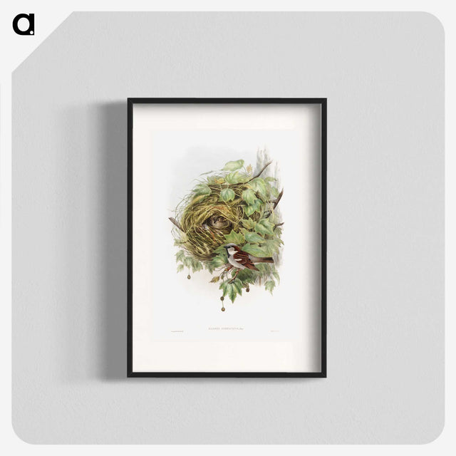1-50_John-Gould_blk