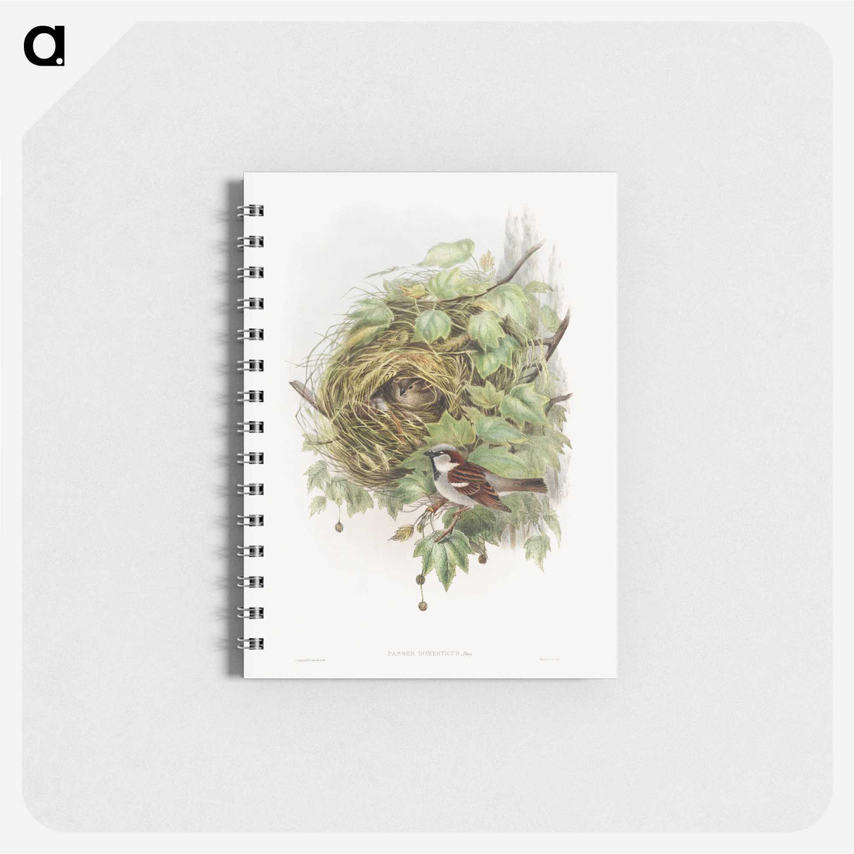 1-50_John-Gould_memo