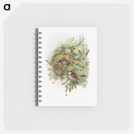 1-50_John-Gould_memo