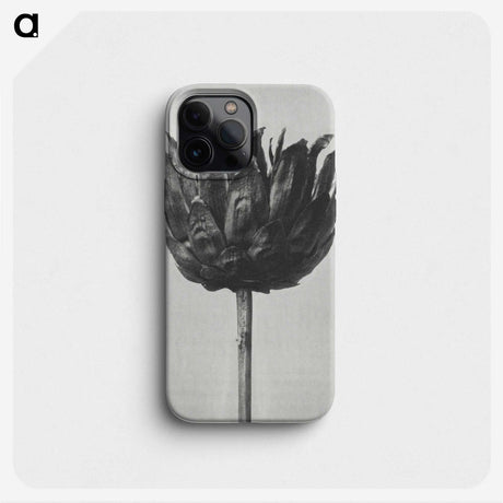 1-50_Karl-Blossfeldt_phone