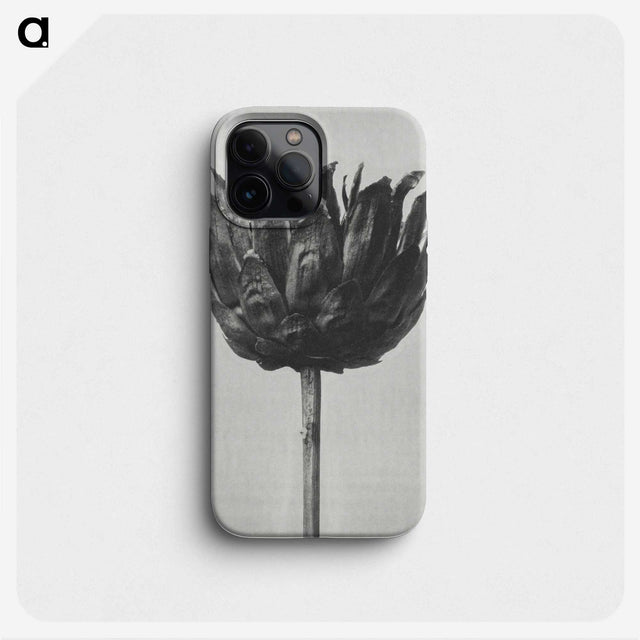 1-50_Karl-Blossfeldt_phone