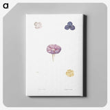 1-50_La-Botanique_canvas