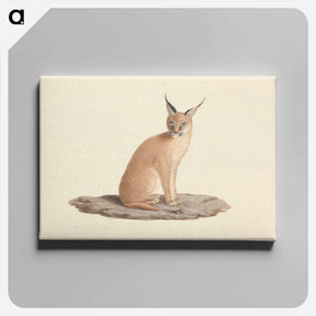 アートパネル-Caracal Caracal
 - ルイージ バルガーニ Canvas.
