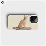 Caracal Caracal
 - ルイージ バルガーニ Phone Case.