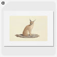 1-50_Luigi-Balugani_picture
