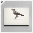1-50_Magnus-von-Wright_canvas