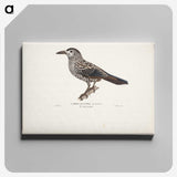 1-50_Magnus-von-Wright_canvas