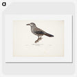 1-50_Magnus-von-Wright_picture
