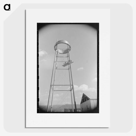 1-50_Marion-Post-Wolcott_picture