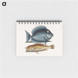 1-50_Mark-Catesby_memo