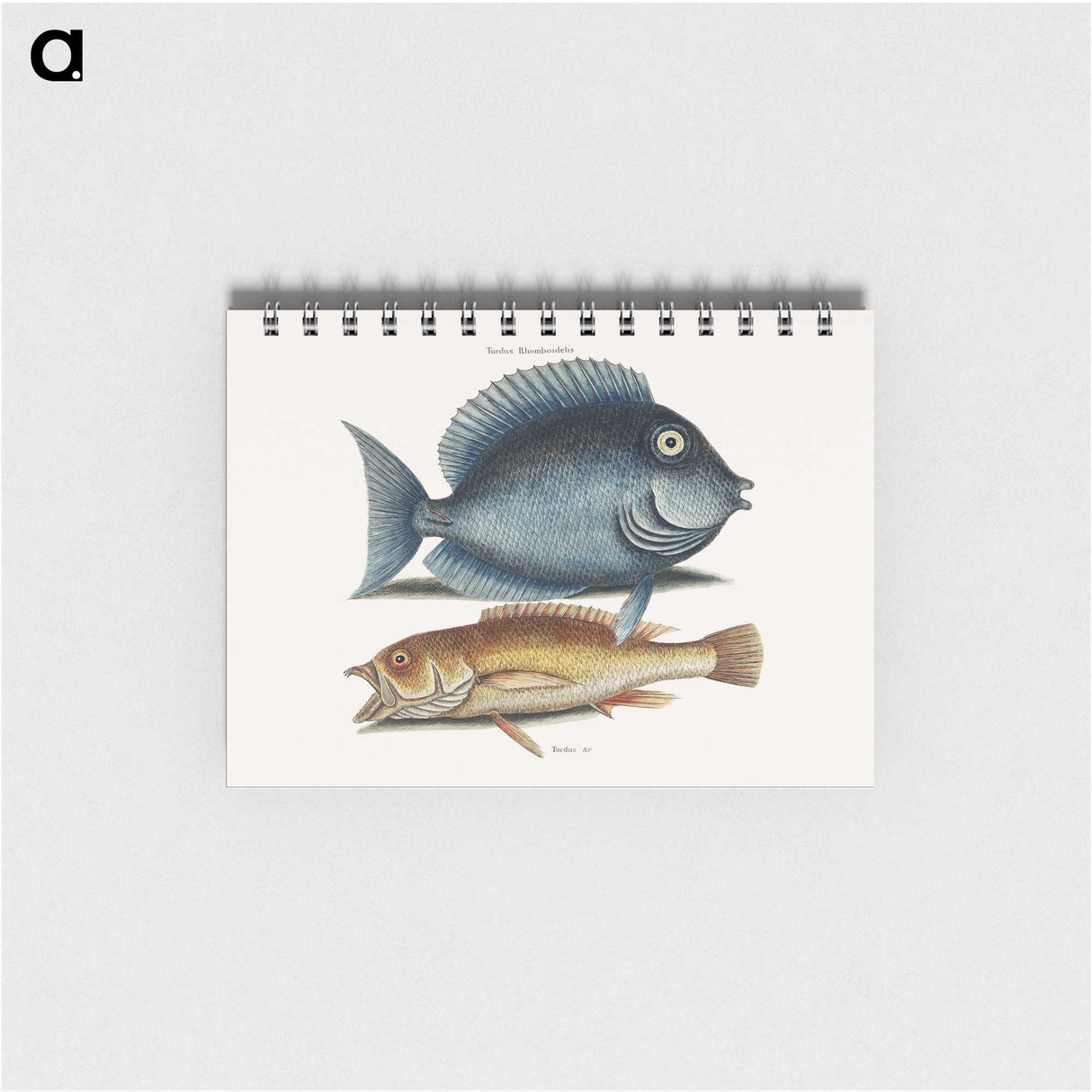 1-50_Mark-Catesby_memo