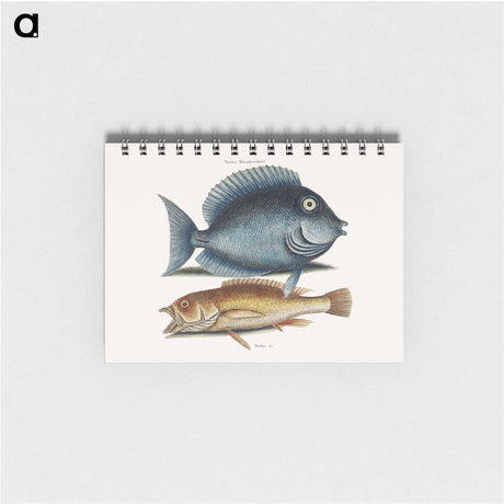 1-50_Mark-Catesby_memo