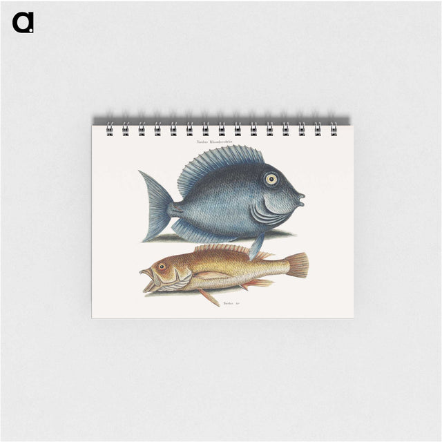 1-50_Mark-Catesby_memo