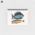 アートメモ帳-Tang and Yellow Fish
 - マーク ケイツビー Memo.