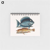 アートメモ帳-Tang and Yellow Fish
 - マーク ケイツビー Memo.