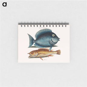 アートメモ帳-Tang and Yellow Fish
 - マーク ケイツビー Memo.