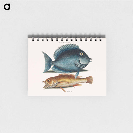 アートメモ帳-Tang and Yellow Fish
 - マーク ケイツビー Memo.