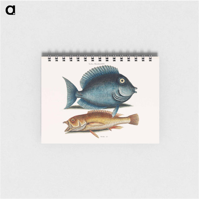 アートメモ帳-Tang and Yellow Fish
 - マーク ケイツビー Memo.