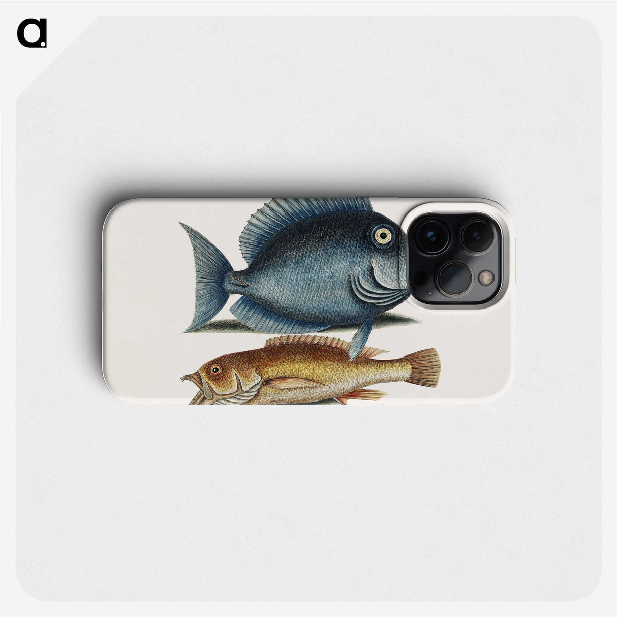 1-50_Mark-Catesby_phone