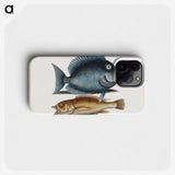 1-50_Mark-Catesby_phone