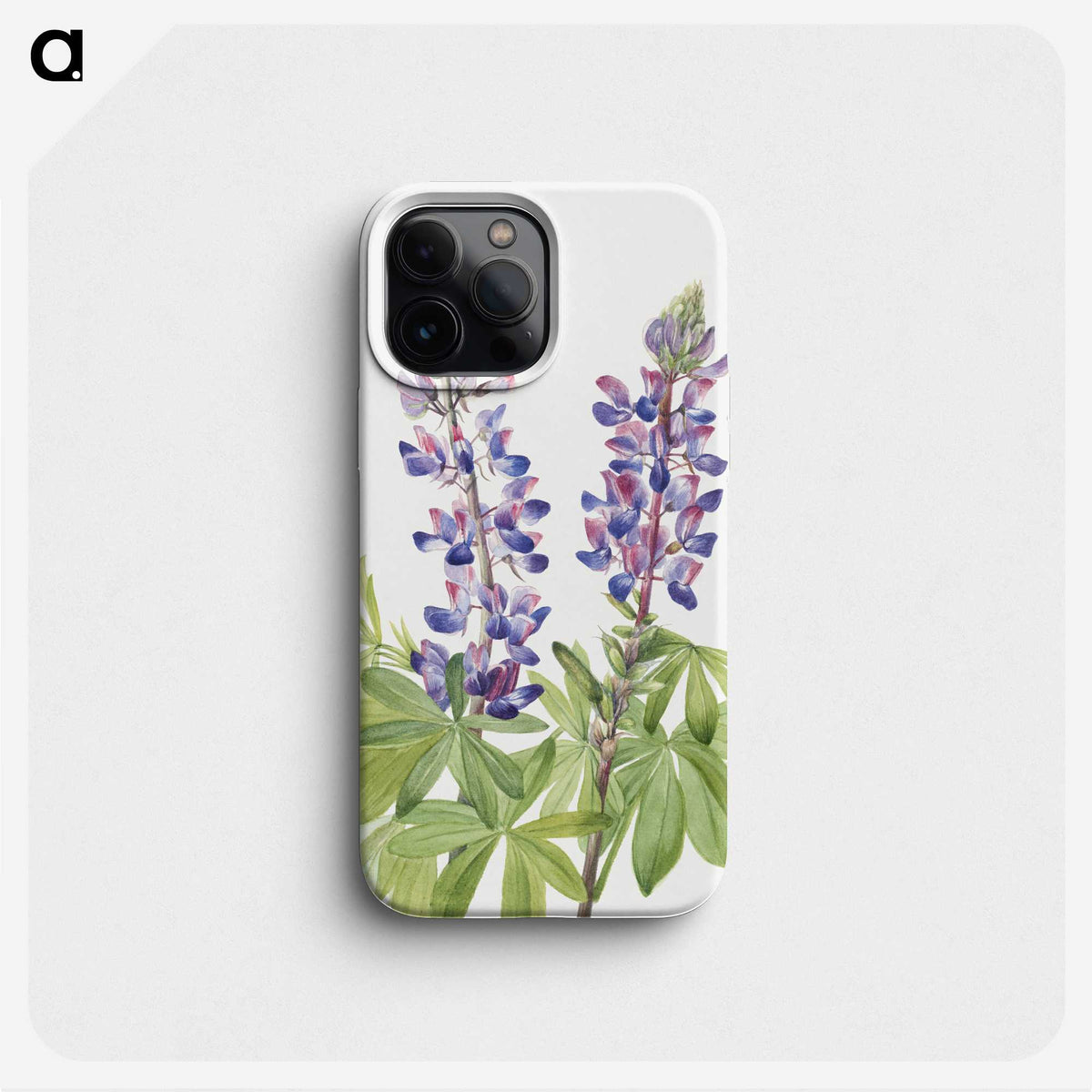 1-50_Mary-Vaux-Walcott_phone