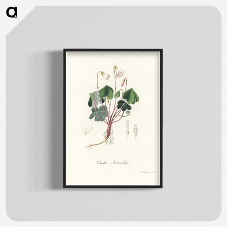 1-50_Medical-Botany_blk-crop