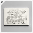 1-50_Monuments-of-Egypt-and-Nubia_canvas