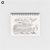 1-50_Monuments-of-Egypt-and-Nubia_memo