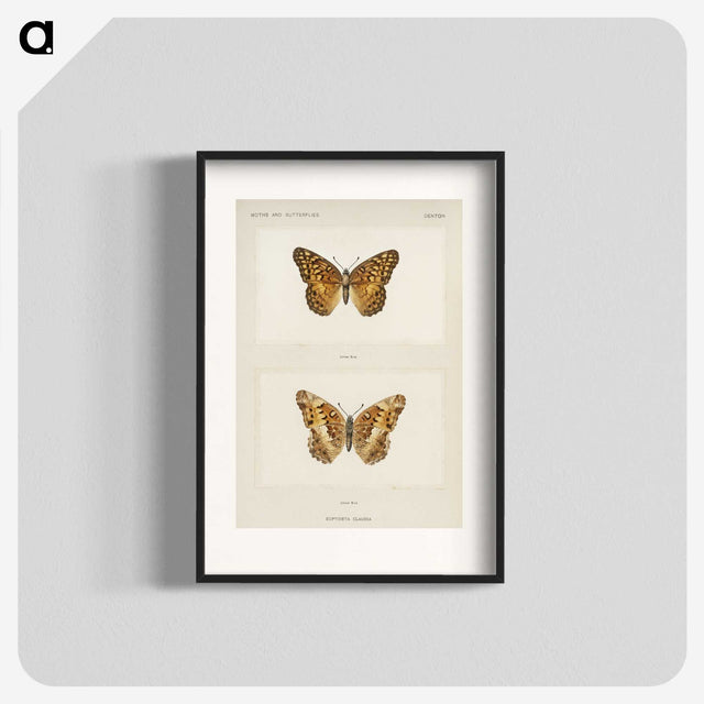 1-50_Moths-and-Butterflies-of-the-United-States_blk